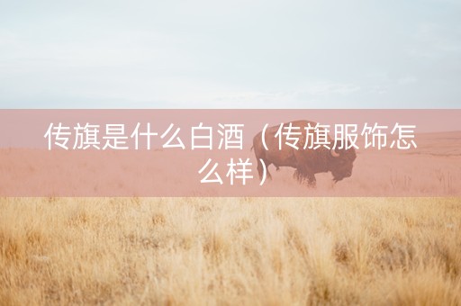 传旗是什么白酒（传旗服饰怎么样）