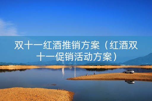 双十一红酒推销方案（红酒双十一促销活动方案）