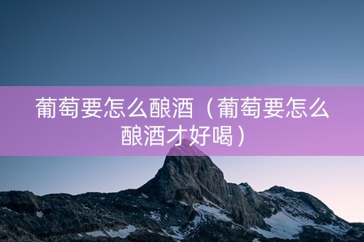 葡萄要怎么酿酒（葡萄要怎么酿酒才好喝）
