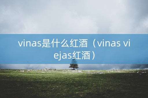 vinas是什么红酒（vinas viejas红酒）