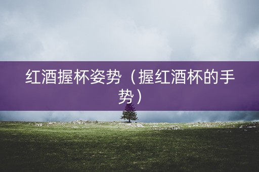 红酒握杯姿势（握红酒杯的手势）