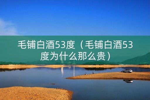 毛铺白酒53度（毛铺白酒53度为什么那么贵）