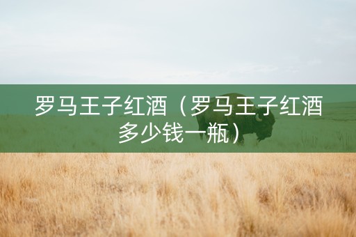 罗马王子红酒（罗马王子红酒多少钱一瓶）