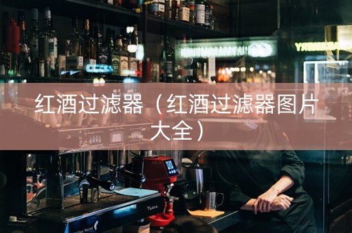 红酒过滤器（红酒过滤器图片大全）