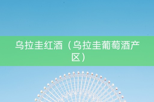 乌拉圭红酒（乌拉圭葡萄酒产区）