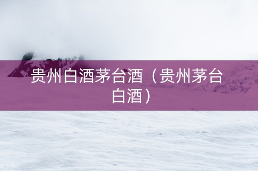 贵州白酒茅台酒（贵州茅台 白酒）