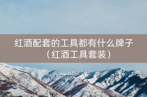 红酒配套的工具都有什么牌子（红酒工具套装）