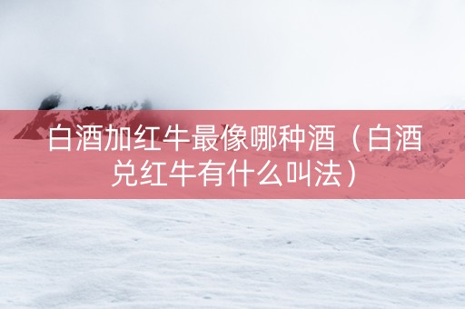 白酒加红牛最像哪种酒（白酒兑红牛有什么叫法）