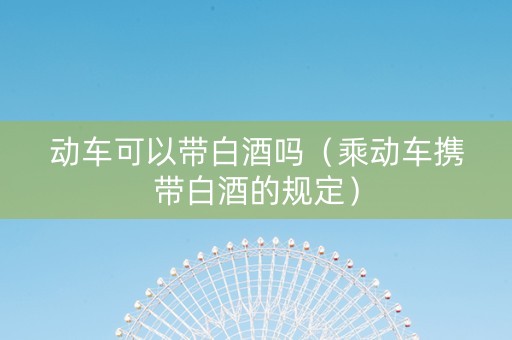 动车可以带白酒吗（乘动车携带白酒的规定）