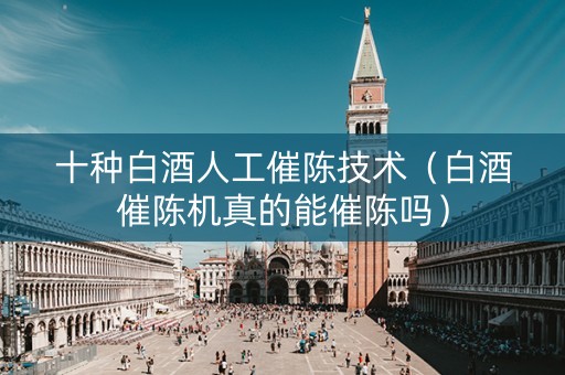 十种白酒人工催陈技术（白酒催陈机真的能催陈吗）