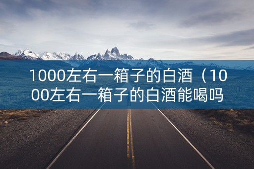1000左右一箱子的白酒（1000左右一箱子的白酒能喝吗）