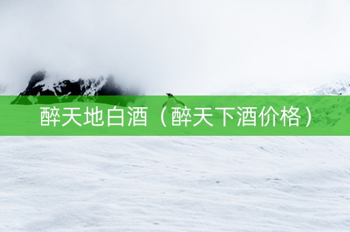醉天地白酒（醉天下酒价格）