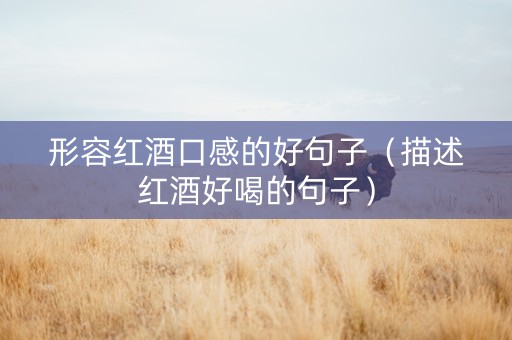 形容红酒口感的好句子（描述红酒好喝的句子）