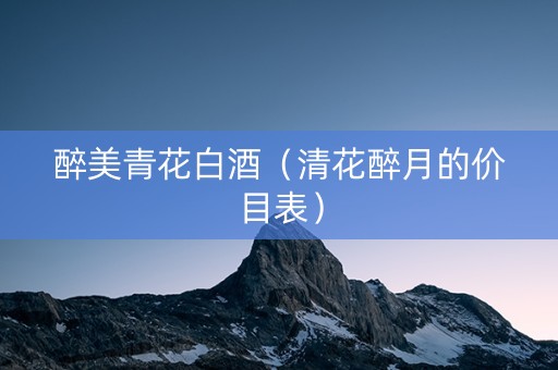 醉美青花白酒（清花醉月的价目表）
