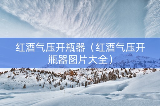 红酒气压开瓶器（红酒气压开瓶器图片大全）