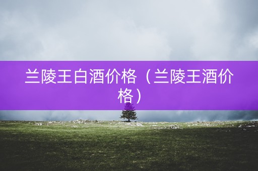 兰陵王白酒价格（兰陵王酒价格）