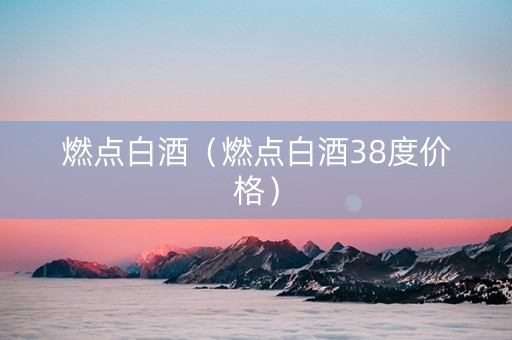 燃点白酒（燃点白酒38度价格）