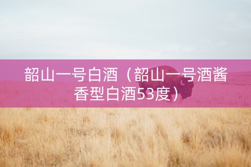 韶山一号白酒（韶山一号酒酱香型白酒53度）