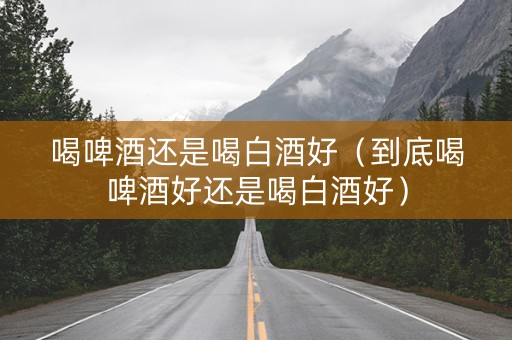 喝啤酒还是喝白酒好（到底喝啤酒好还是喝白酒好）