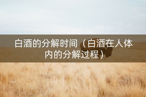 白酒的分解时间（白酒在人体内的分解过程）
