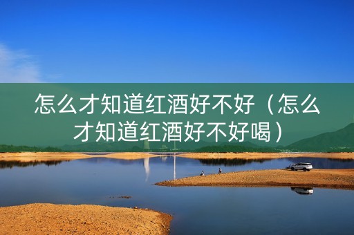 怎么才知道红酒好不好（怎么才知道红酒好不好喝）