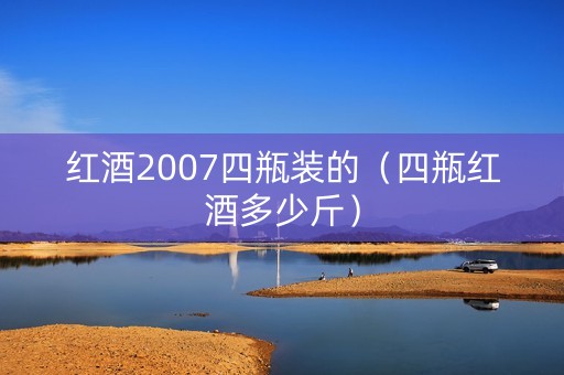 红酒2007四瓶装的（四瓶红酒多少斤）