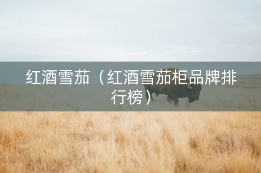 红酒雪茄（红酒雪茄柜品牌排行榜）
