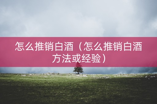 怎么推销白酒（怎么推销白酒方法或经验）