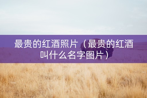 最贵的红酒照片（最贵的红酒叫什么名字图片）