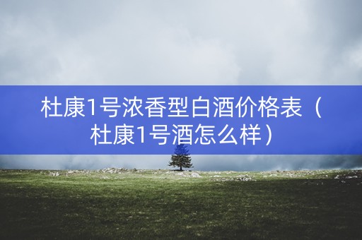 杜康1号浓香型白酒价格表（杜康1号酒怎么样）
