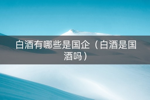 白酒有哪些是国企（白酒是国酒吗）