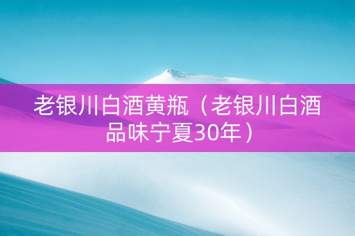 老银川白酒黄瓶（老银川白酒品味宁夏30年）
