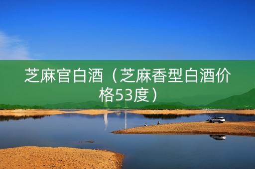 芝麻官白酒（芝麻香型白酒价格53度）