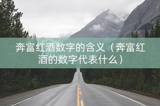 奔富红酒数字的含义（奔富红酒的数字代表什么）