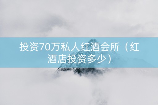 投资70万私人红酒会所（红酒店投资多少）