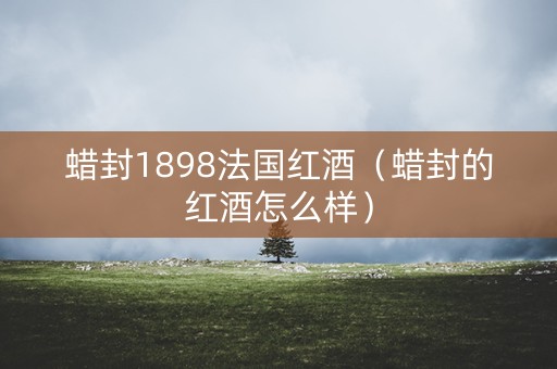 蜡封1898法国红酒（蜡封的红酒怎么样）