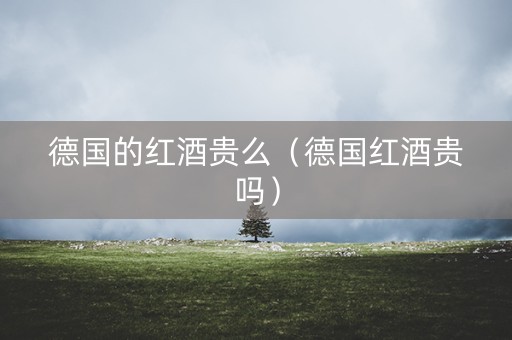 德国的红酒贵么（德国红酒贵吗）