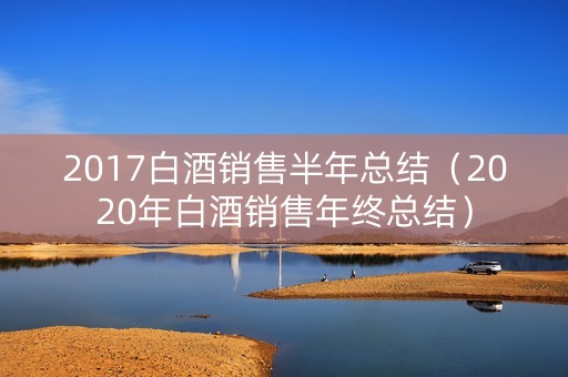 2017白酒销售半年总结（2020年白酒销售年终总结）