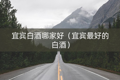 宜宾白酒哪家好（宜宾最好的白酒）
