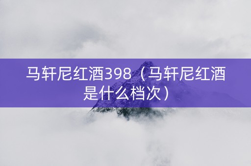 马轩尼红酒398（马轩尼红酒是什么档次）