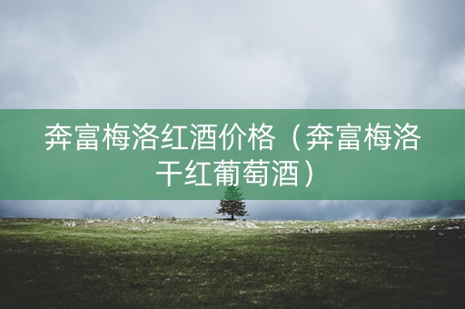 奔富梅洛红酒价格（奔富梅洛干红葡萄酒）