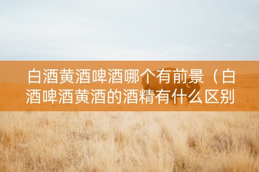 白酒黄酒啤酒哪个有前景（白酒啤酒黄酒的酒精有什么区别）
