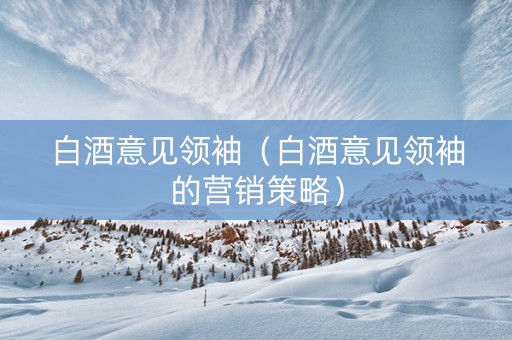 白酒意见领袖（白酒意见领袖的营销策略）