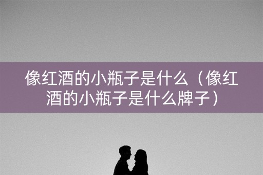 像红酒的小瓶子是什么（像红酒的小瓶子是什么牌子）