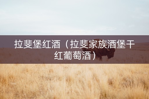 拉斐堡红酒（拉斐家族酒堡干红葡萄酒）