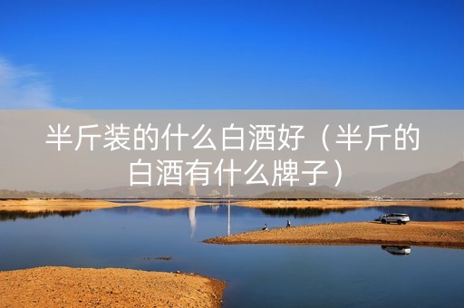 半斤装的什么白酒好（半斤的白酒有什么牌子）