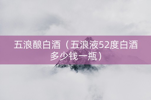 五浪酿白酒（五浪液52度白酒多少钱一瓶）