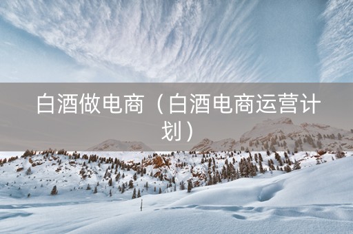 白酒做电商（白酒电商运营计划）