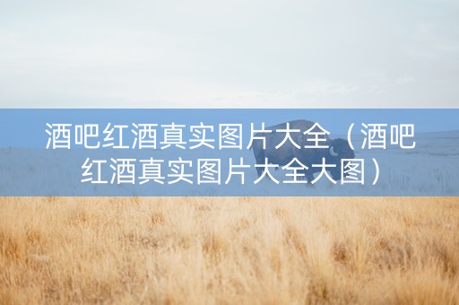 酒吧红酒真实图片大全（酒吧红酒真实图片大全大图）