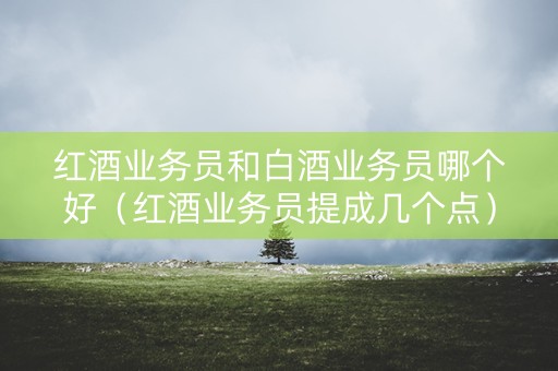 红酒业务员和白酒业务员哪个好（红酒业务员提成几个点）